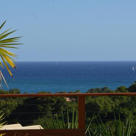 La Villa Coconut Vue A 180° Mer Rocher Du Diamant Le Diamant Exteriér fotografie